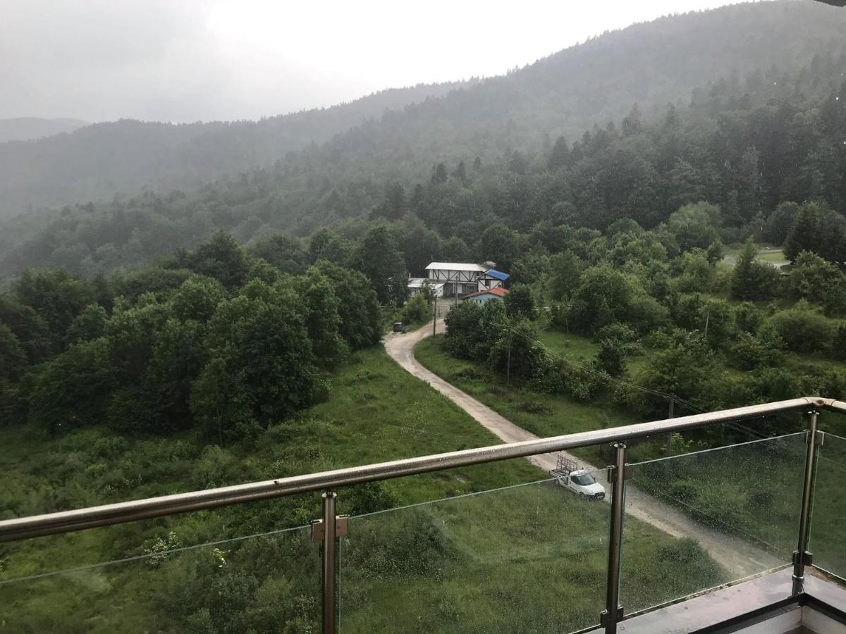 Mountain Residence Sinaia Exteriér fotografie